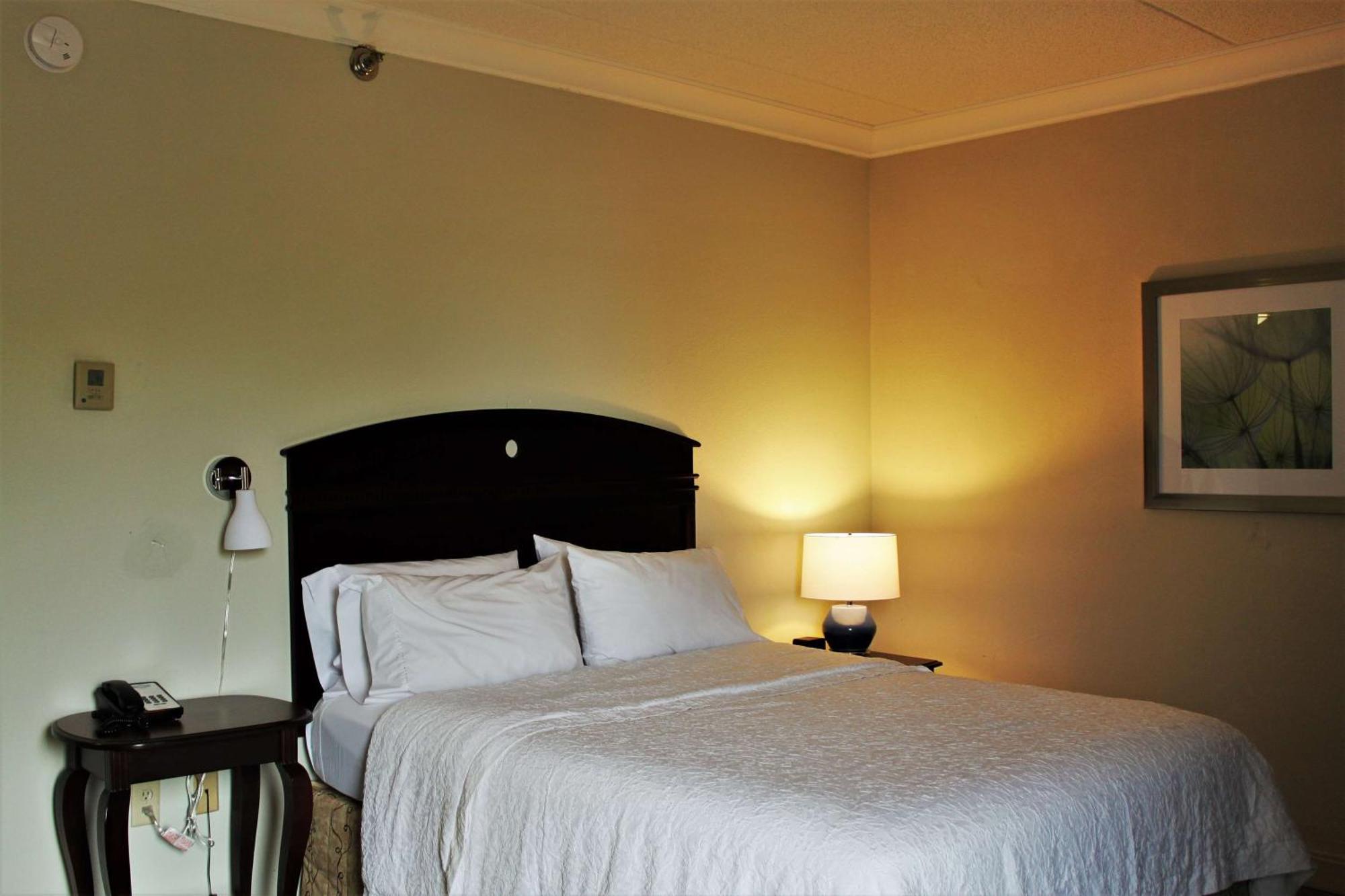 Hampton Inn אמריקוס מראה חיצוני תמונה